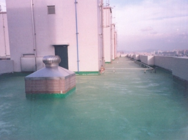 PU Waterproofing