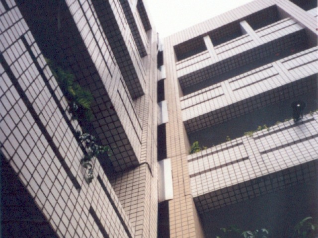PU Joint Sealant